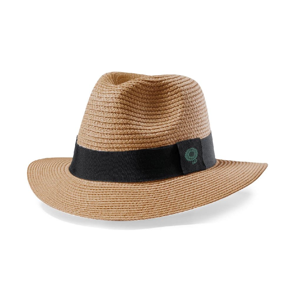 Chapeau 8