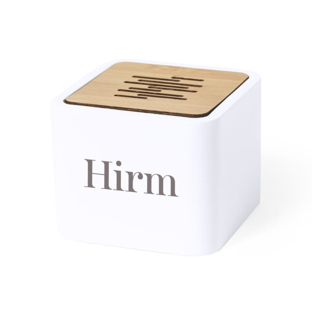 Haut-Parleur 2