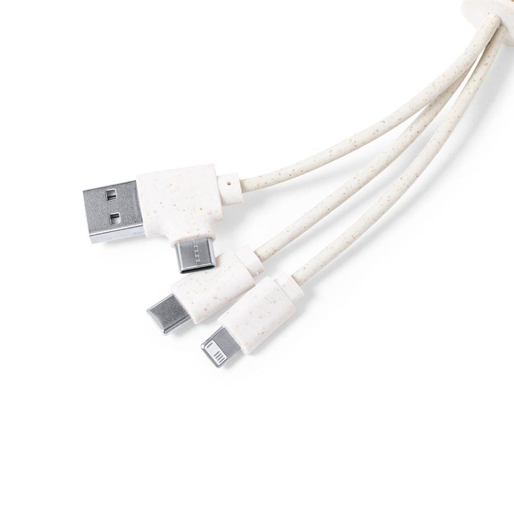 Câble de Charge 3
