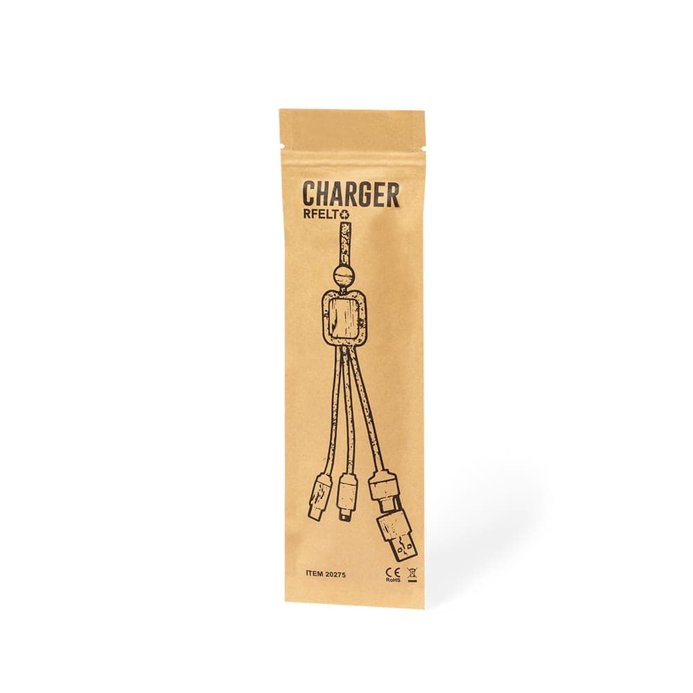 Câble de Charge 6