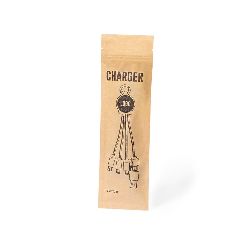 Câble de Charge 4