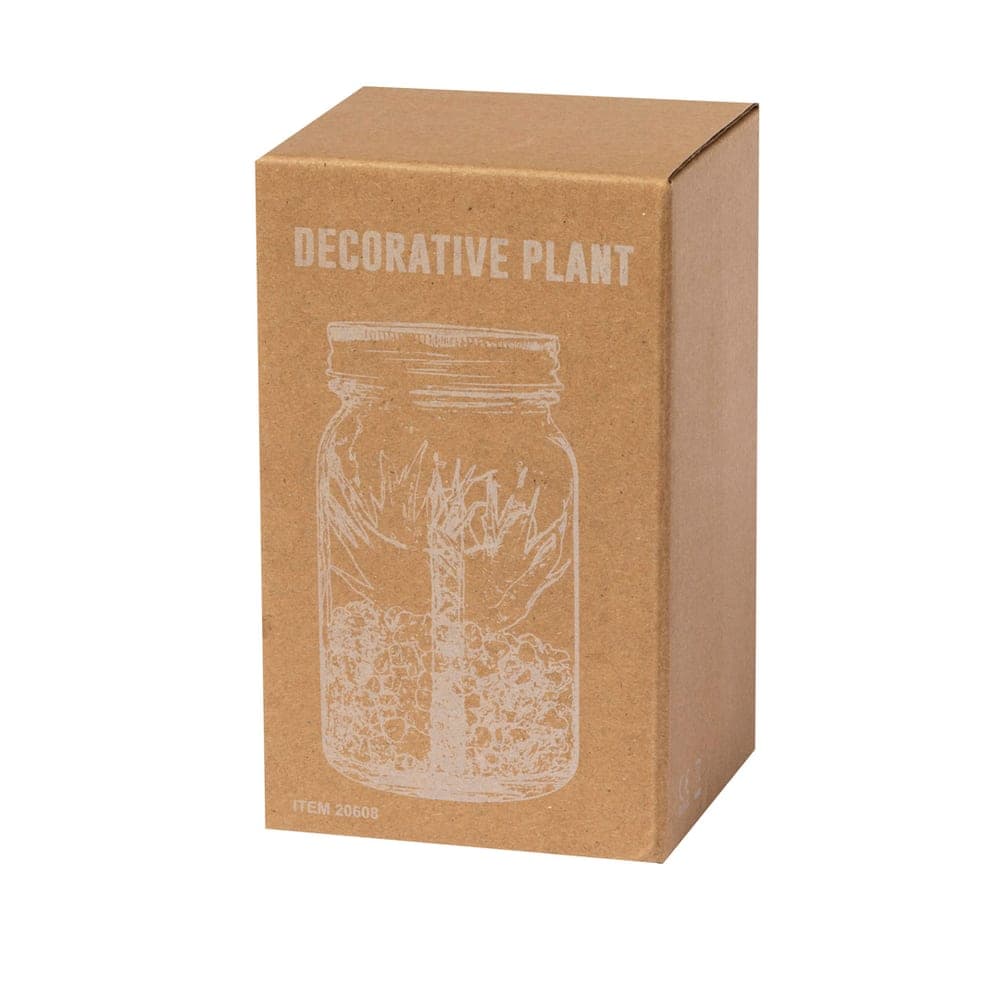 Plante Décorative 6