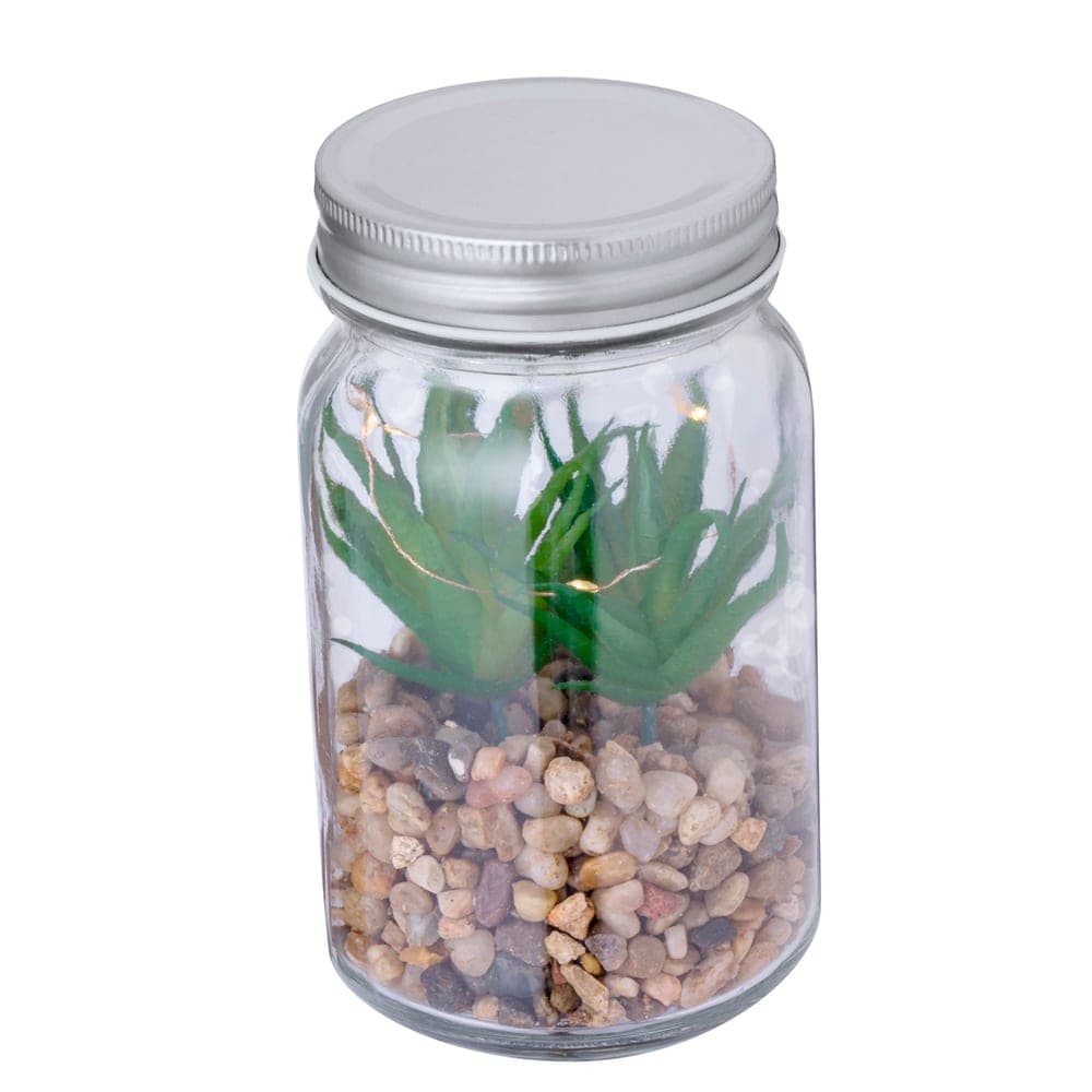 Plante Décorative 4