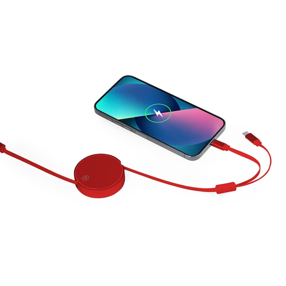 Câble de Charge 8