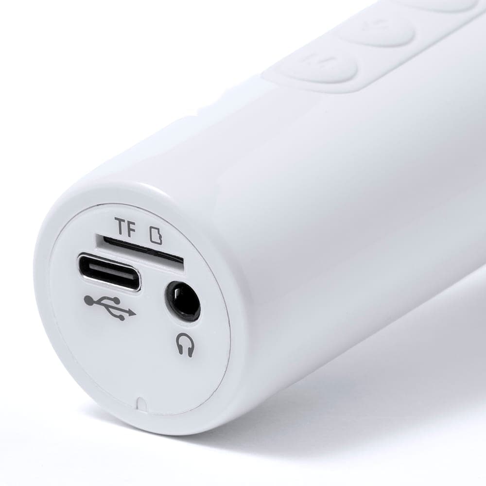 Microphone Haut-Parleurs 5