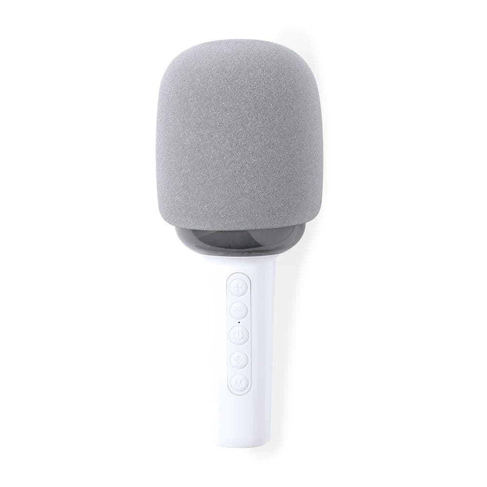 Microphone Haut-Parleurs 2