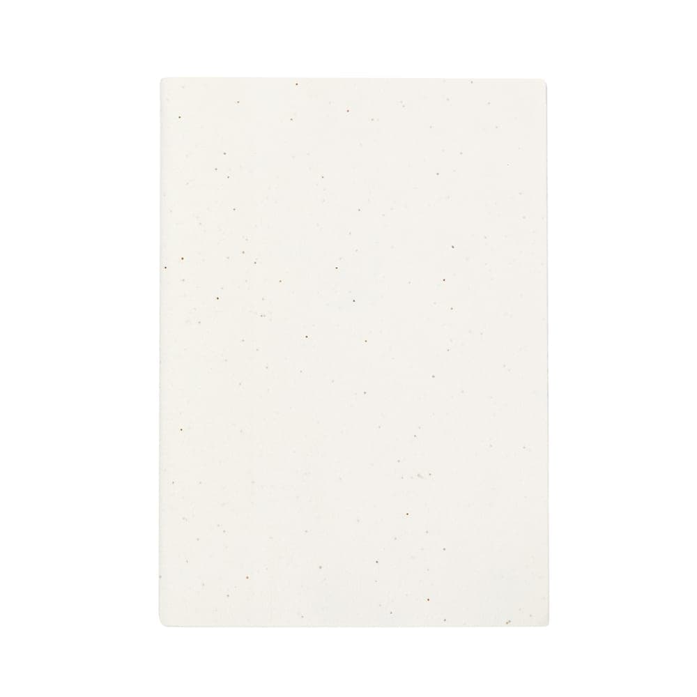 Cahier Ensemencé 2
