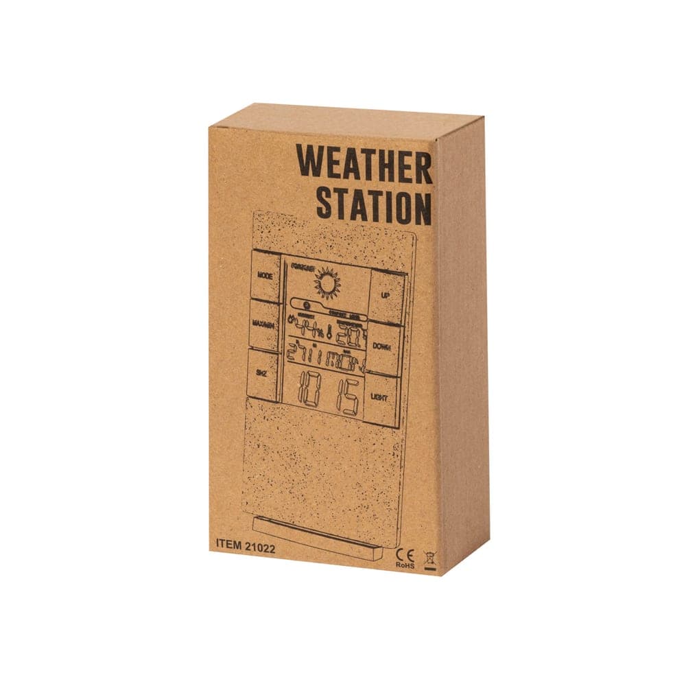 Station Météo 6