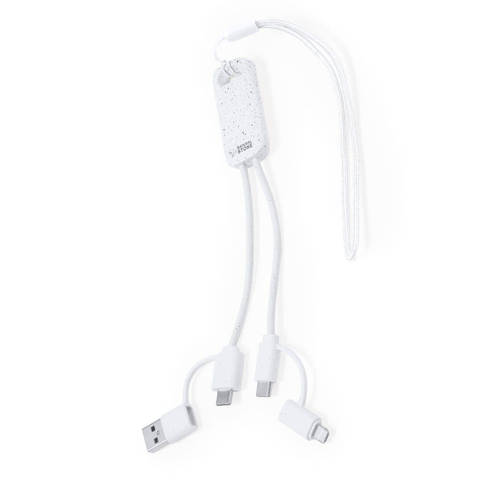 Câble de Charge