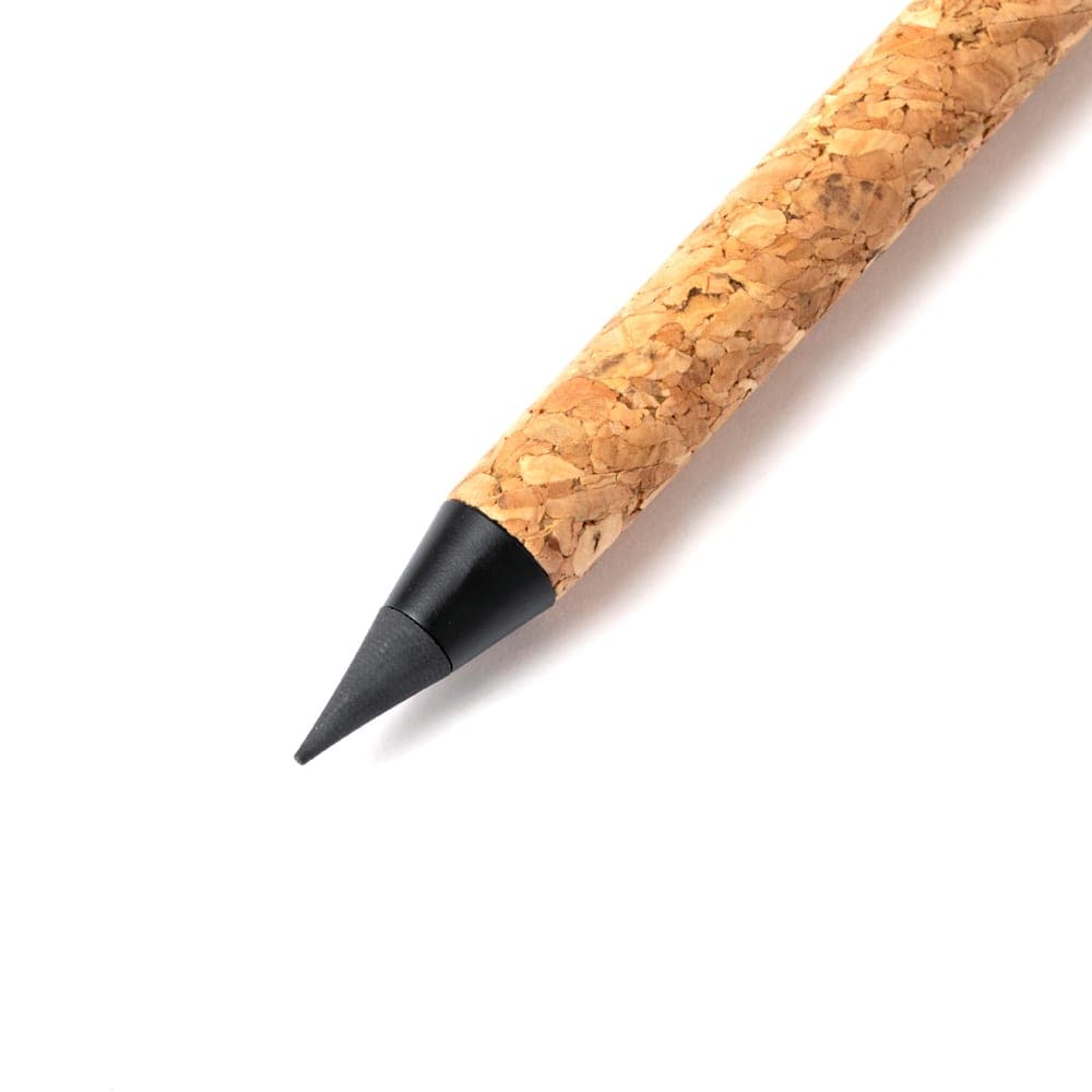 Crayon Éternel 4