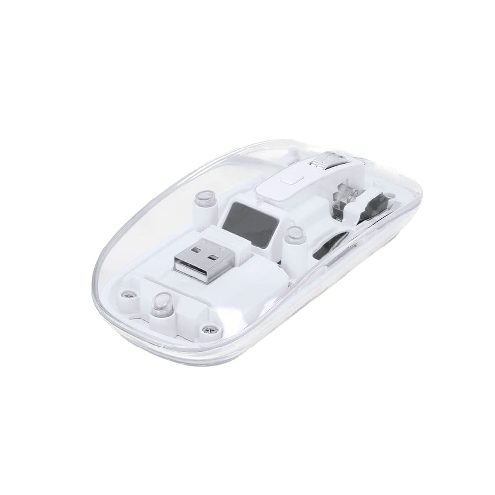 Souris 4
