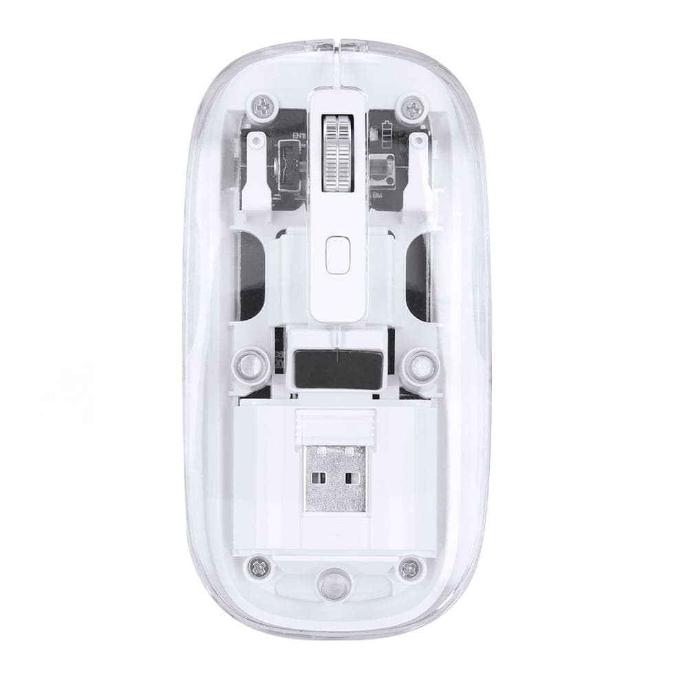 Souris 2