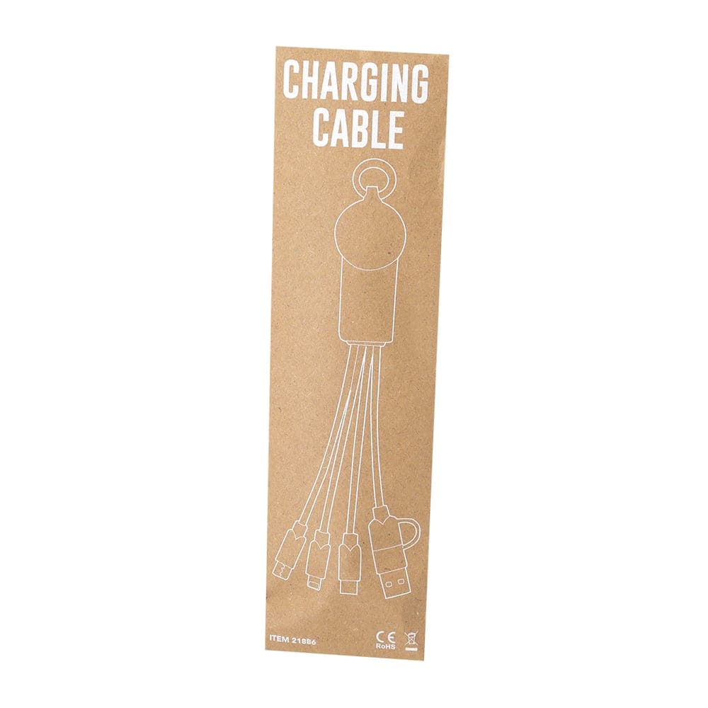 Câble de Charge 5