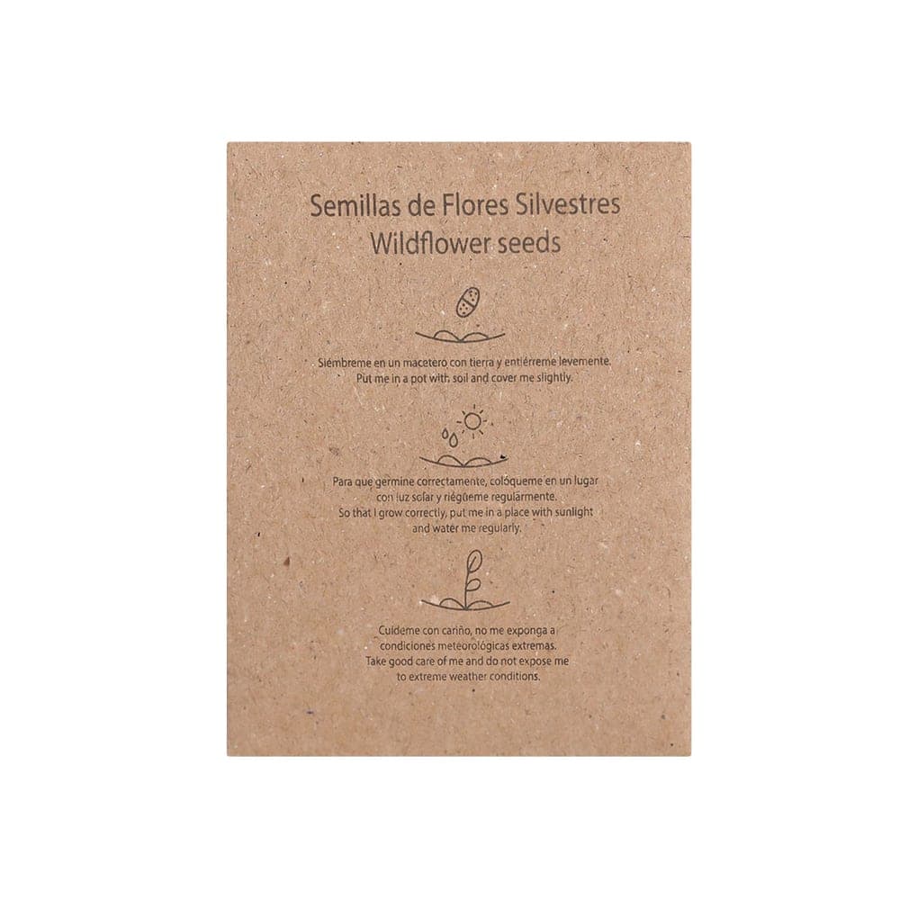 Sachet Graines 6