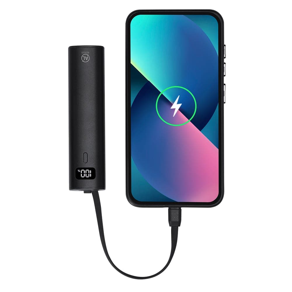 Power Bank 4
