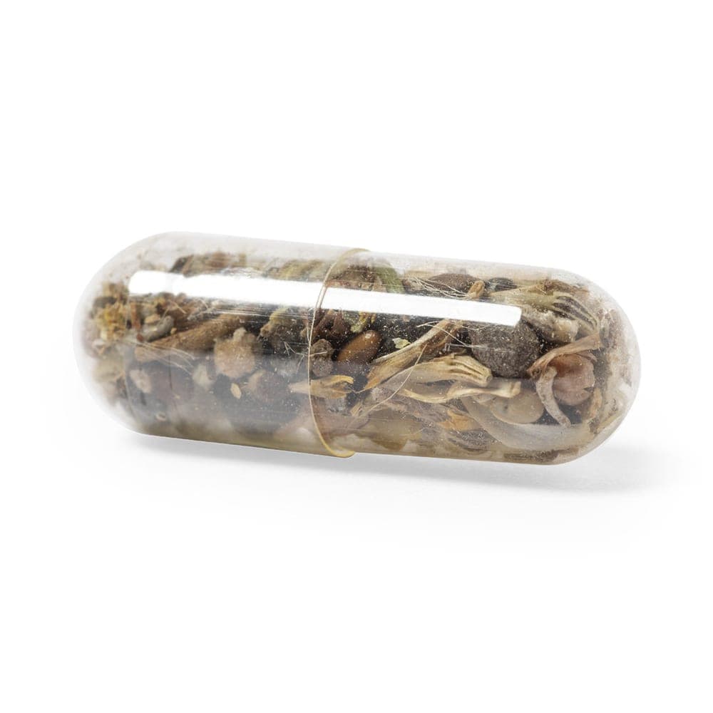 Capsule de Graine 3