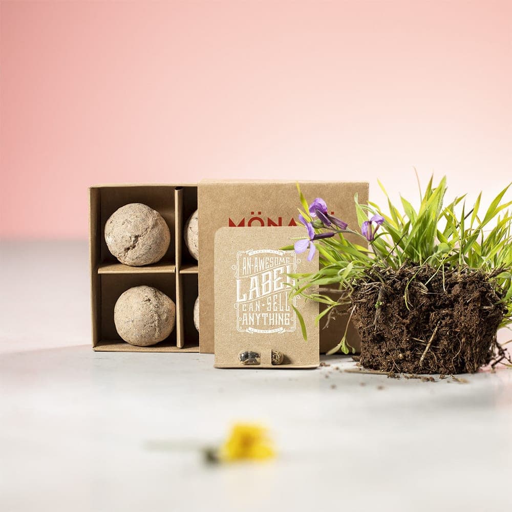 Capsule de Graine 5