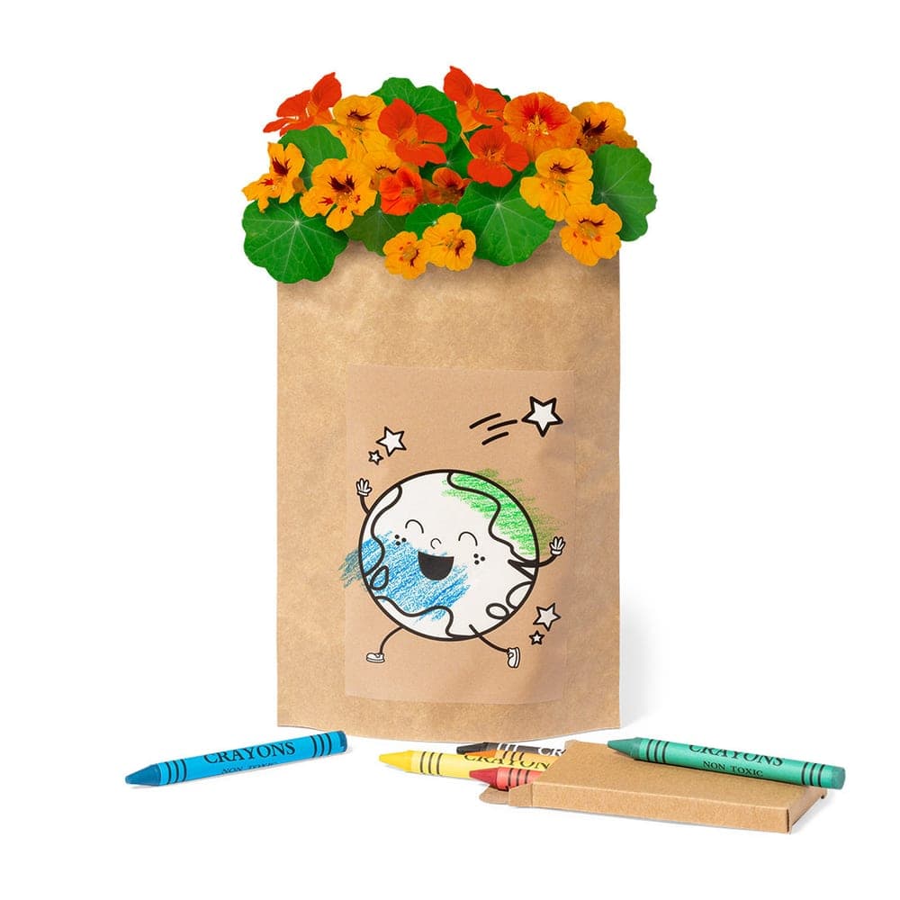 Pot de Fleurs 4