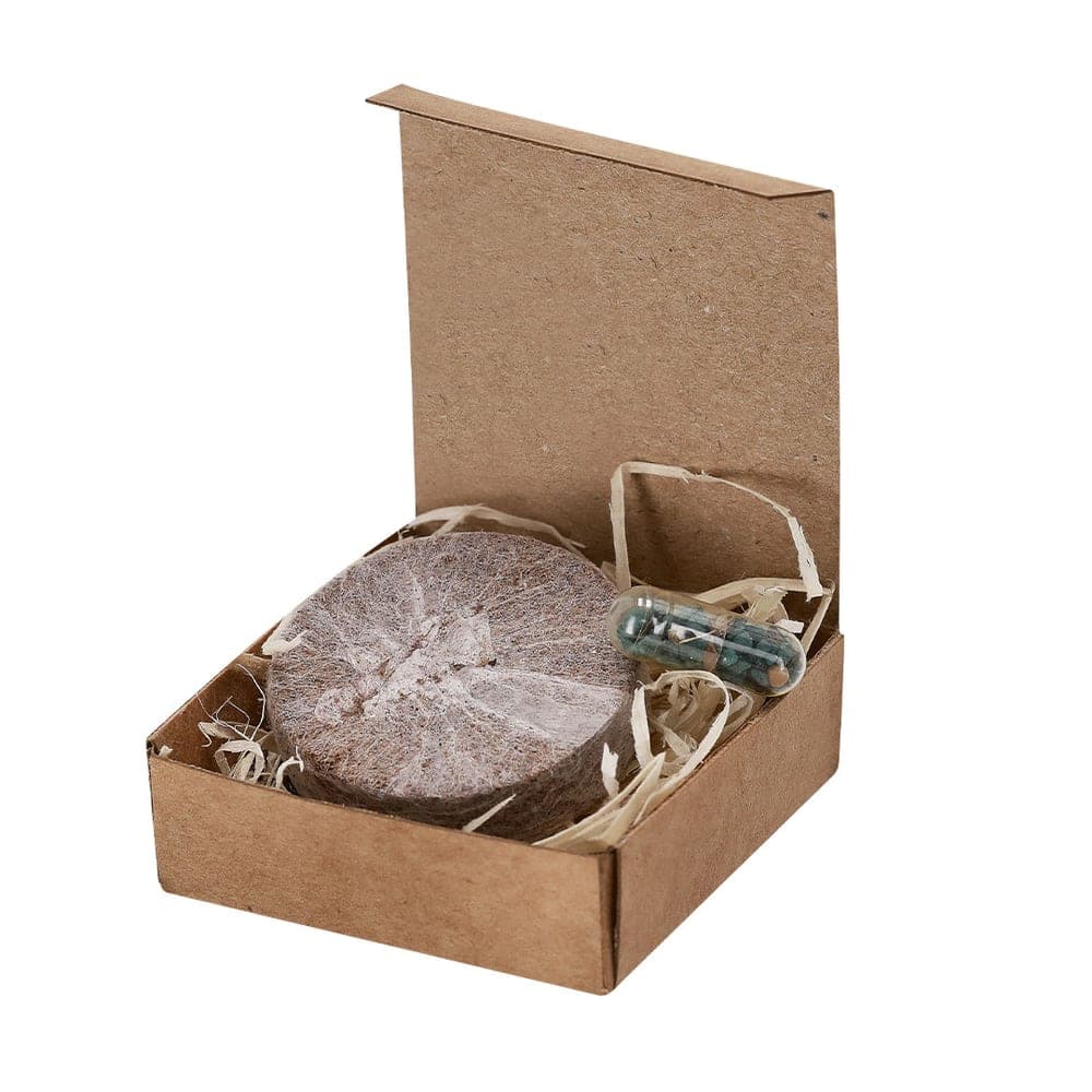 Pack Plantable 3
