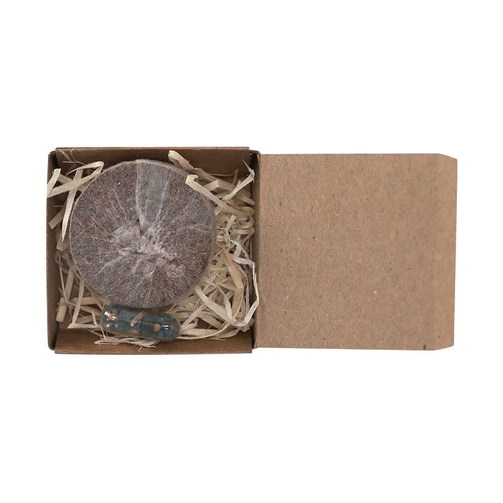 Pack Plantable 2