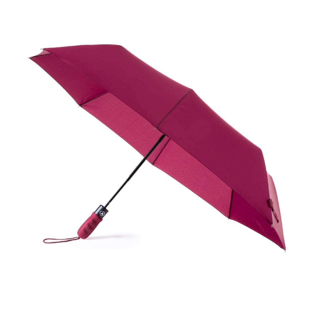 Parapluie 4