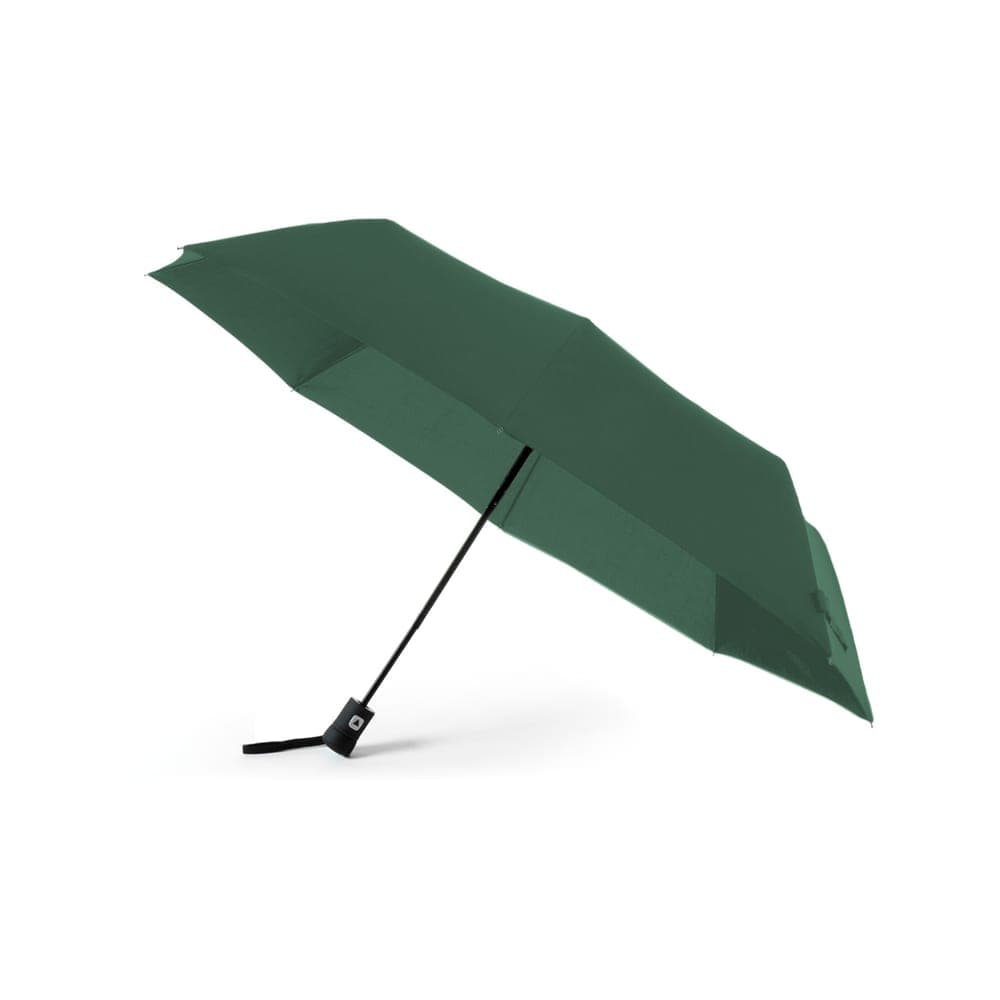 Parapluie 4
