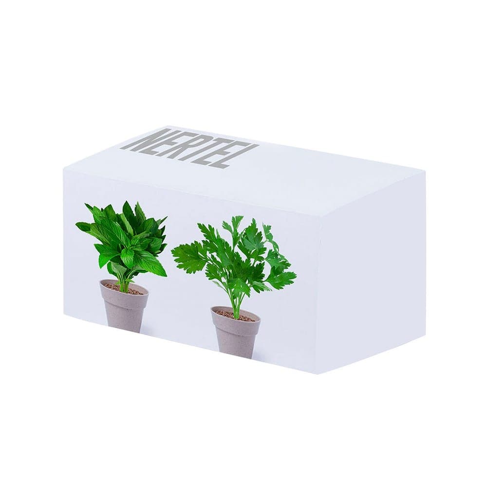 Set Pot de Fleurs 6