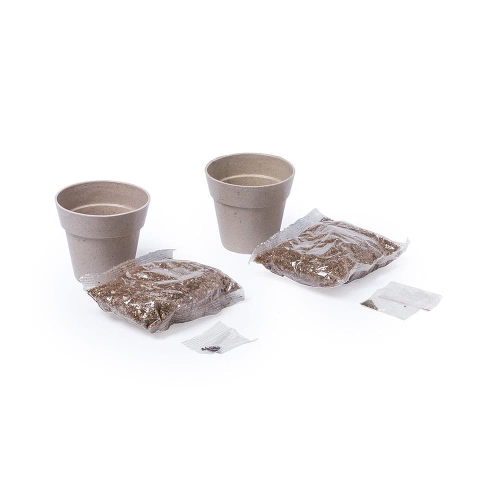 Set Pot de Fleurs 3