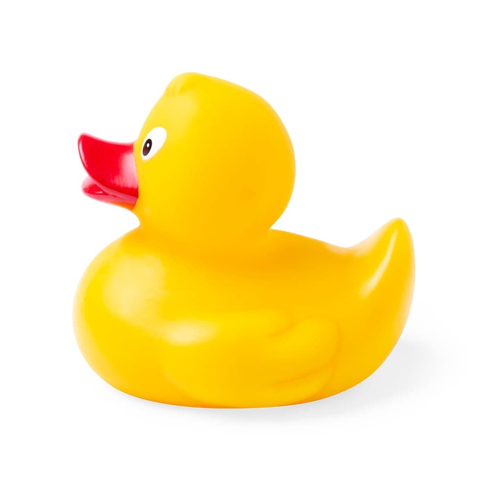 Canard 7