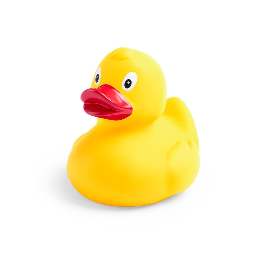 Canard