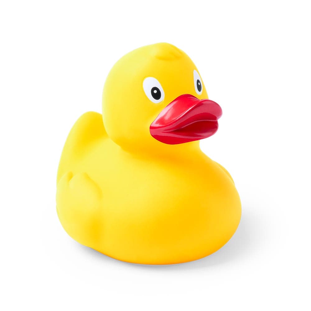Canard 4