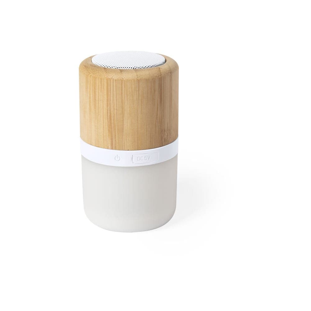 Haut-Parleur 2