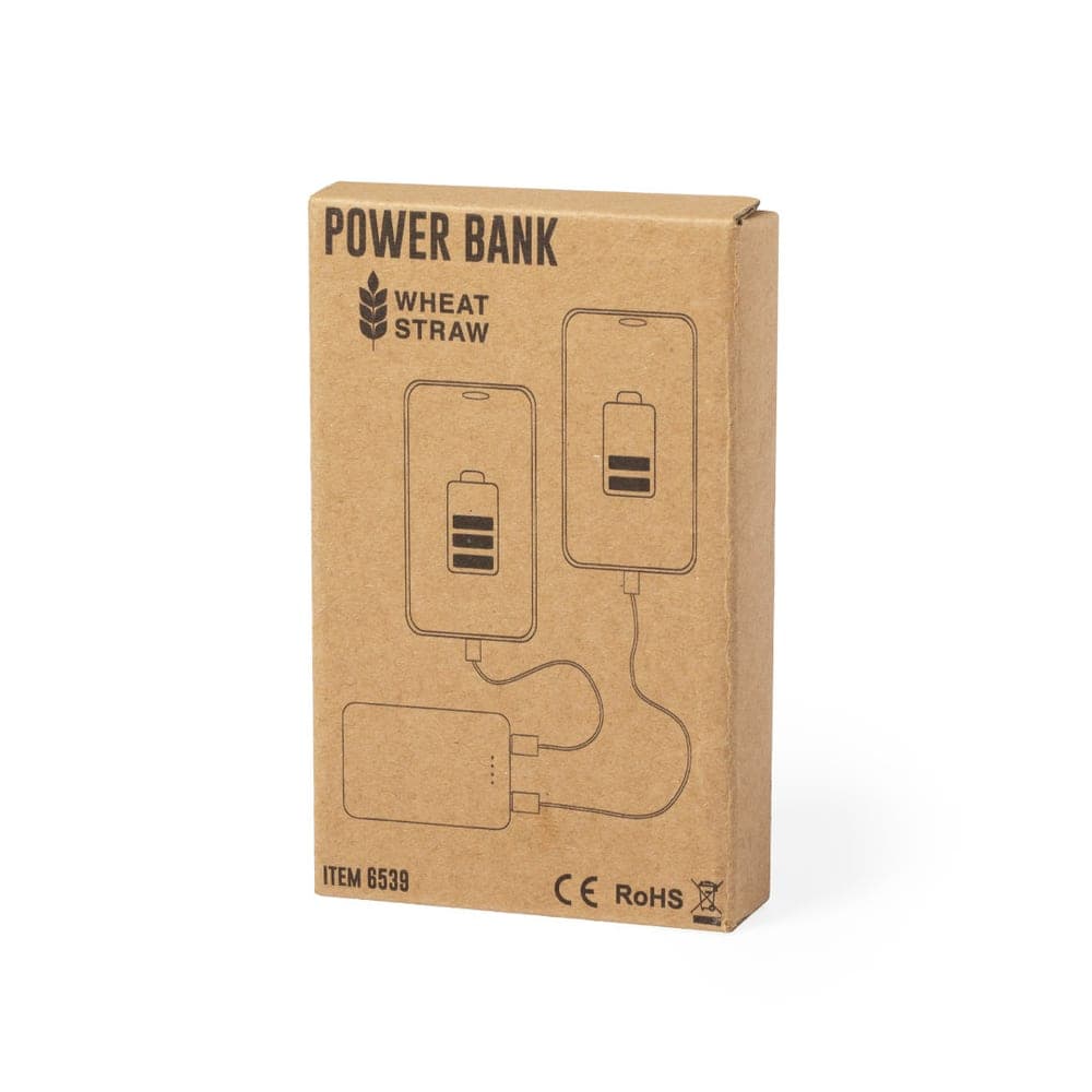 Power Bank 4