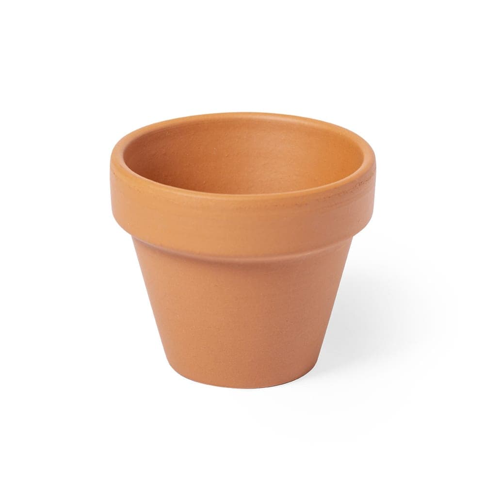 Pot de Fleurs 4