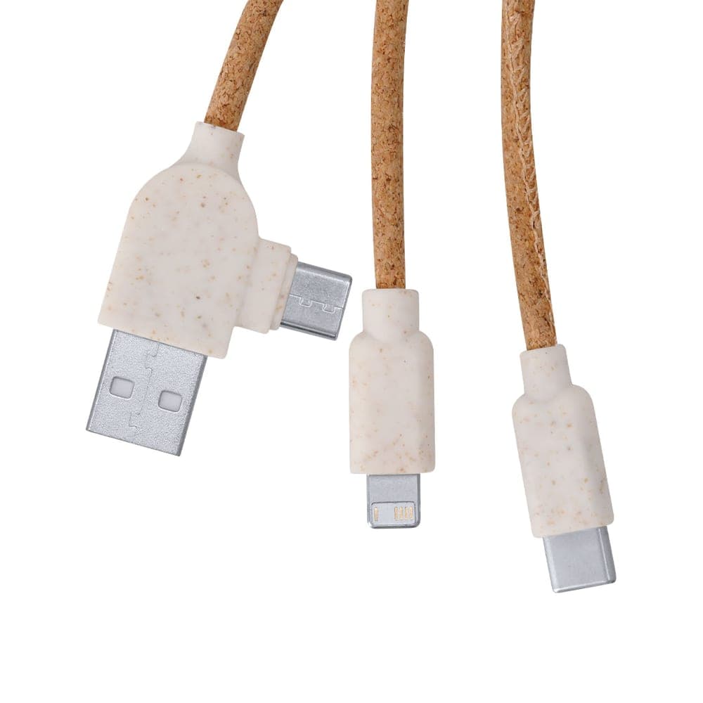 Câble de Charge 4