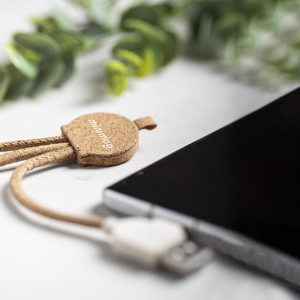 Câble de Charge 6