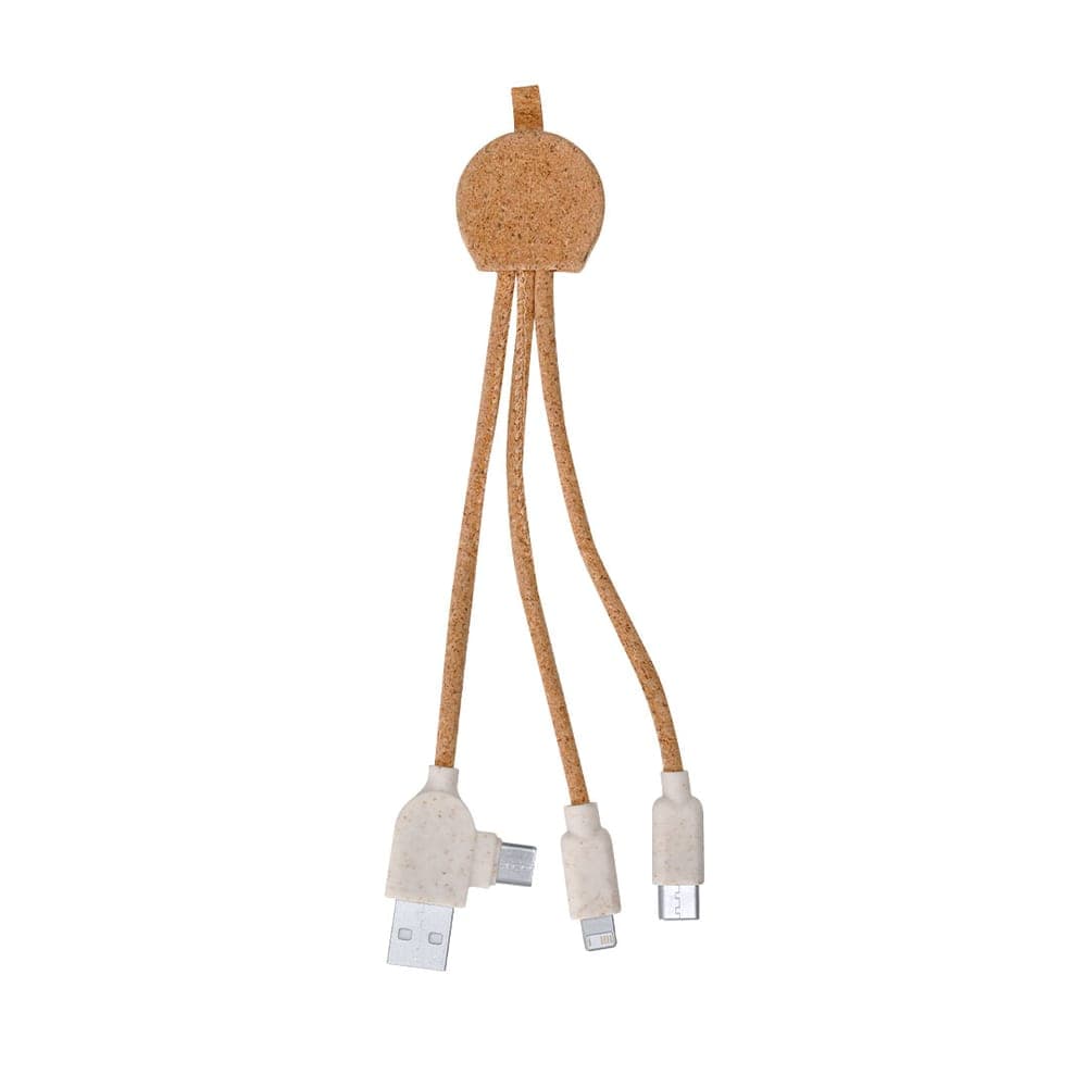 Câble de Charge 2
