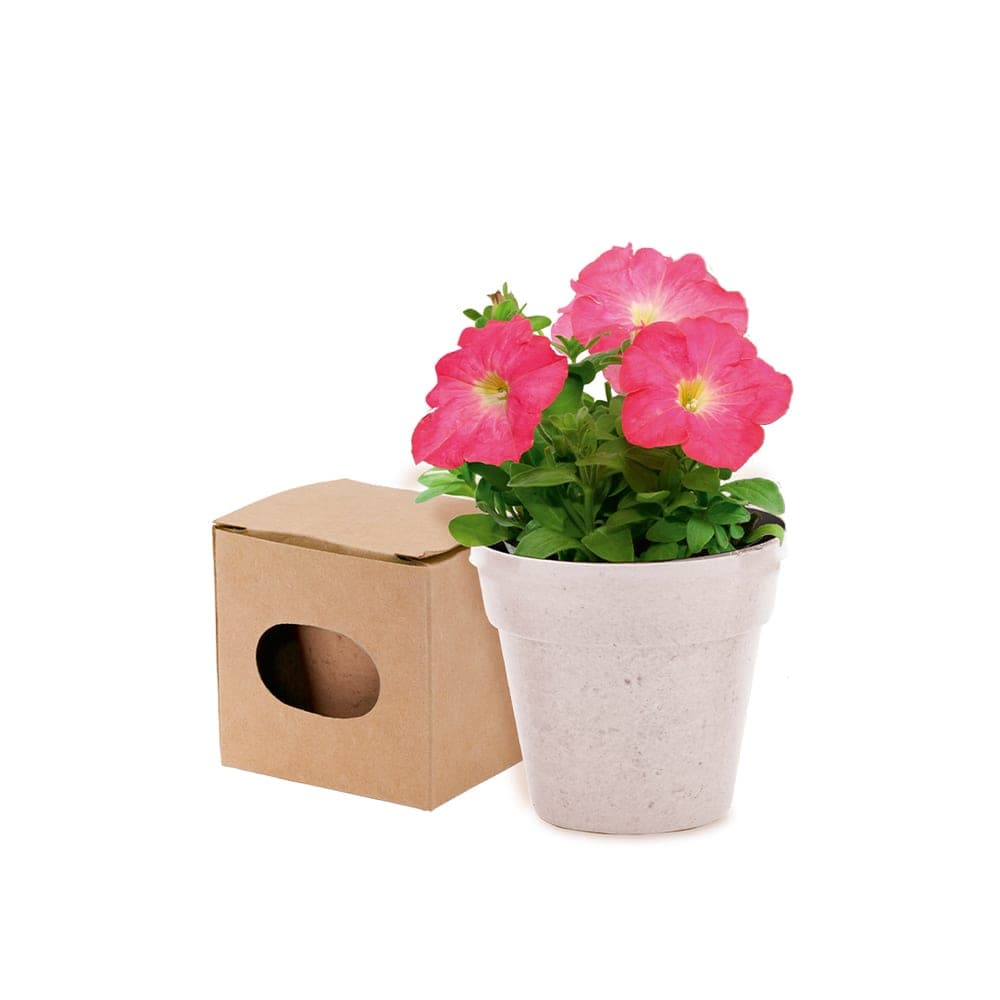Pot de Fleurs