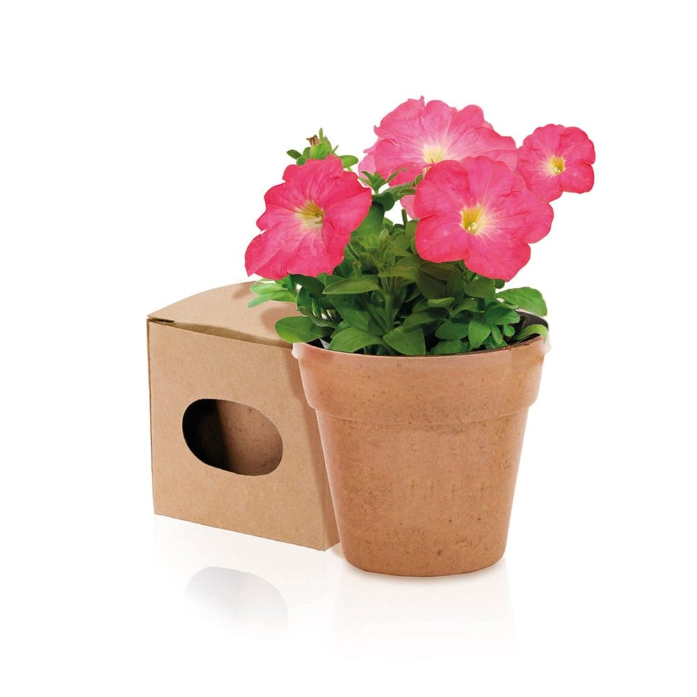Pot de Fleurs 2