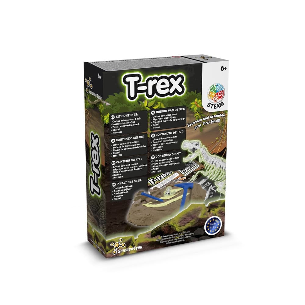 Fossil Excavation Kit I 2