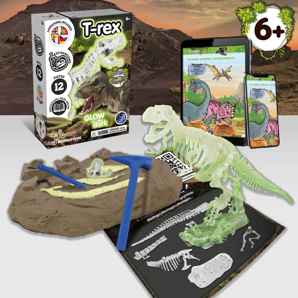 Fossil Excavation Kit I 4