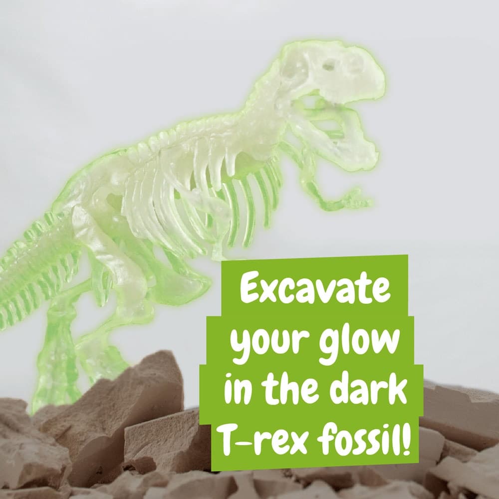 Fossil Excavation Kit I 6