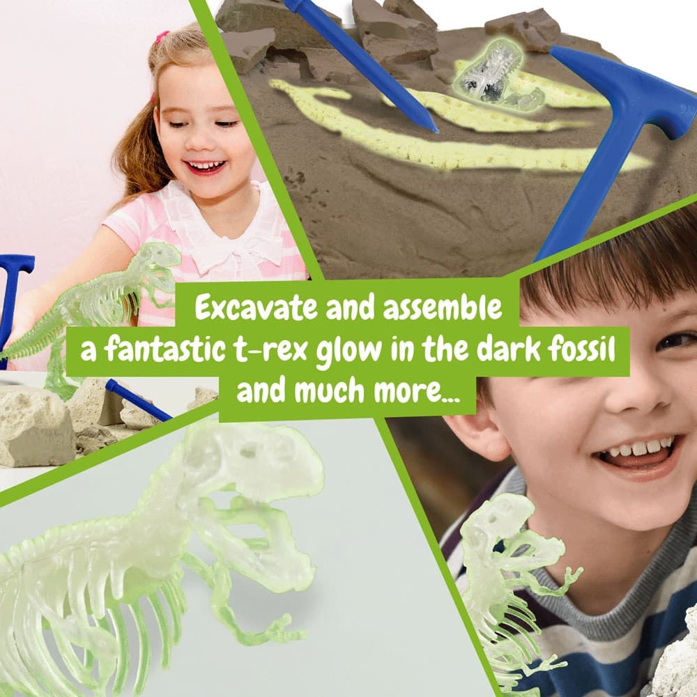 Fossil Excavation Kit I 8