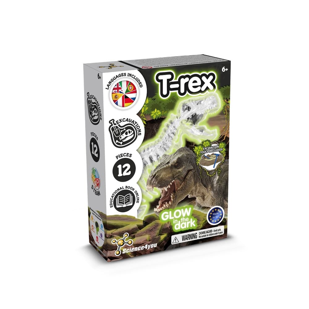 Fossil Excavation Kit I