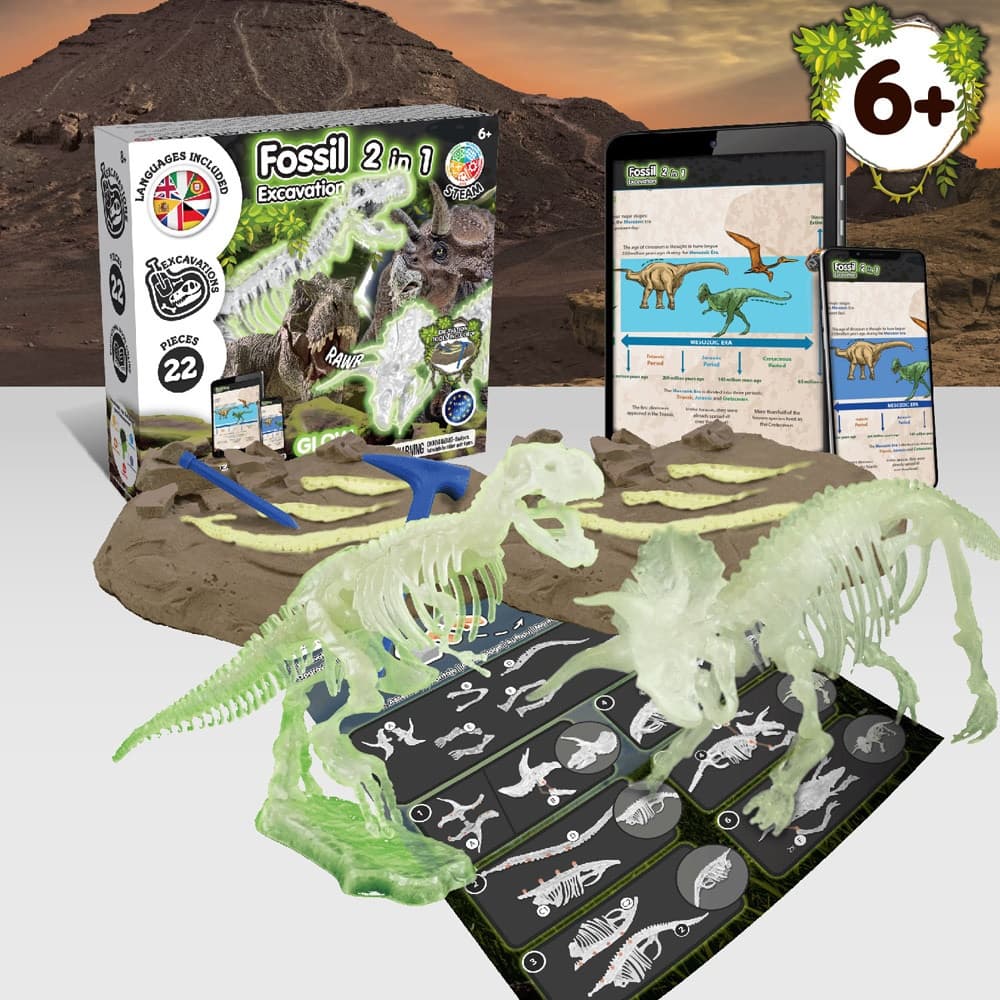In 1 Fossil Excavation Kit I 4