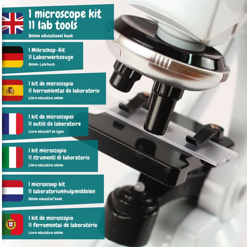 MICROSCOPE 2
