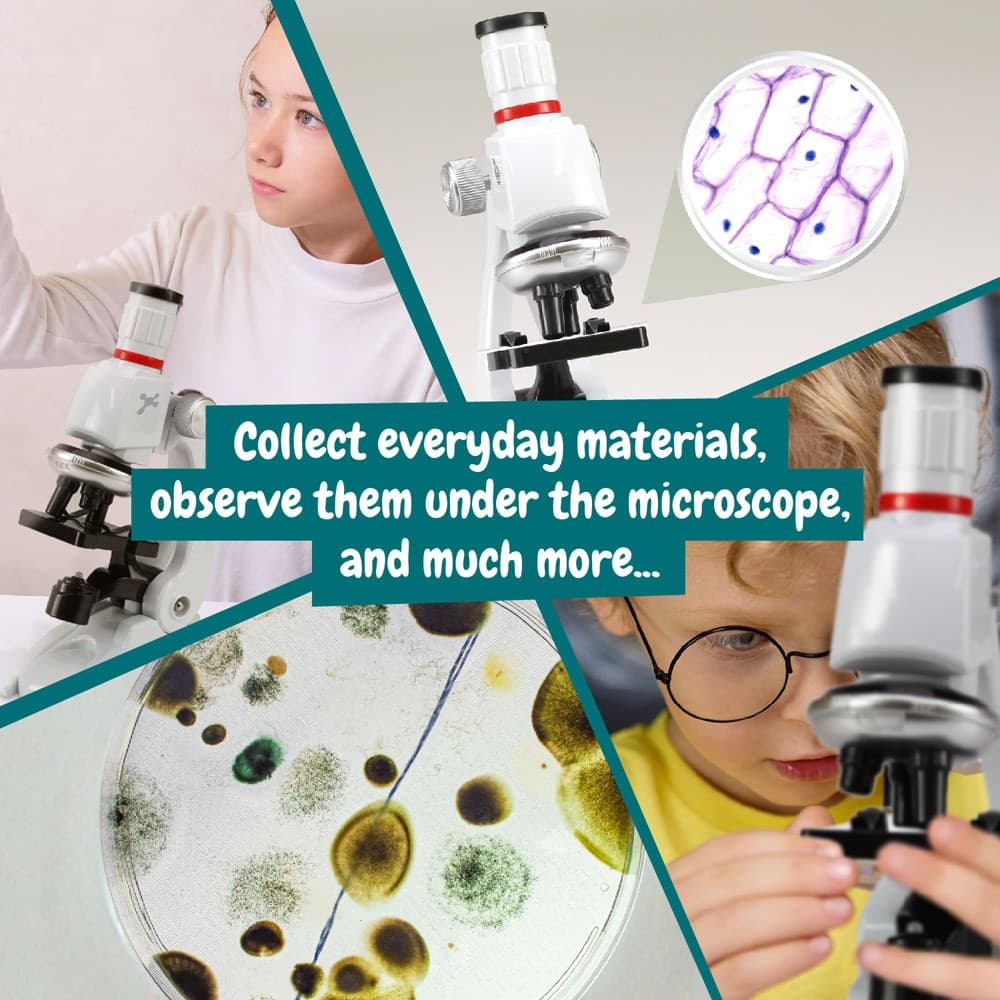 MICROSCOPE 7