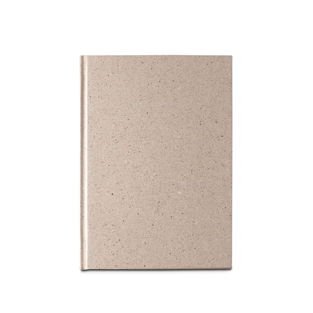 TEAPAD RIGID 2