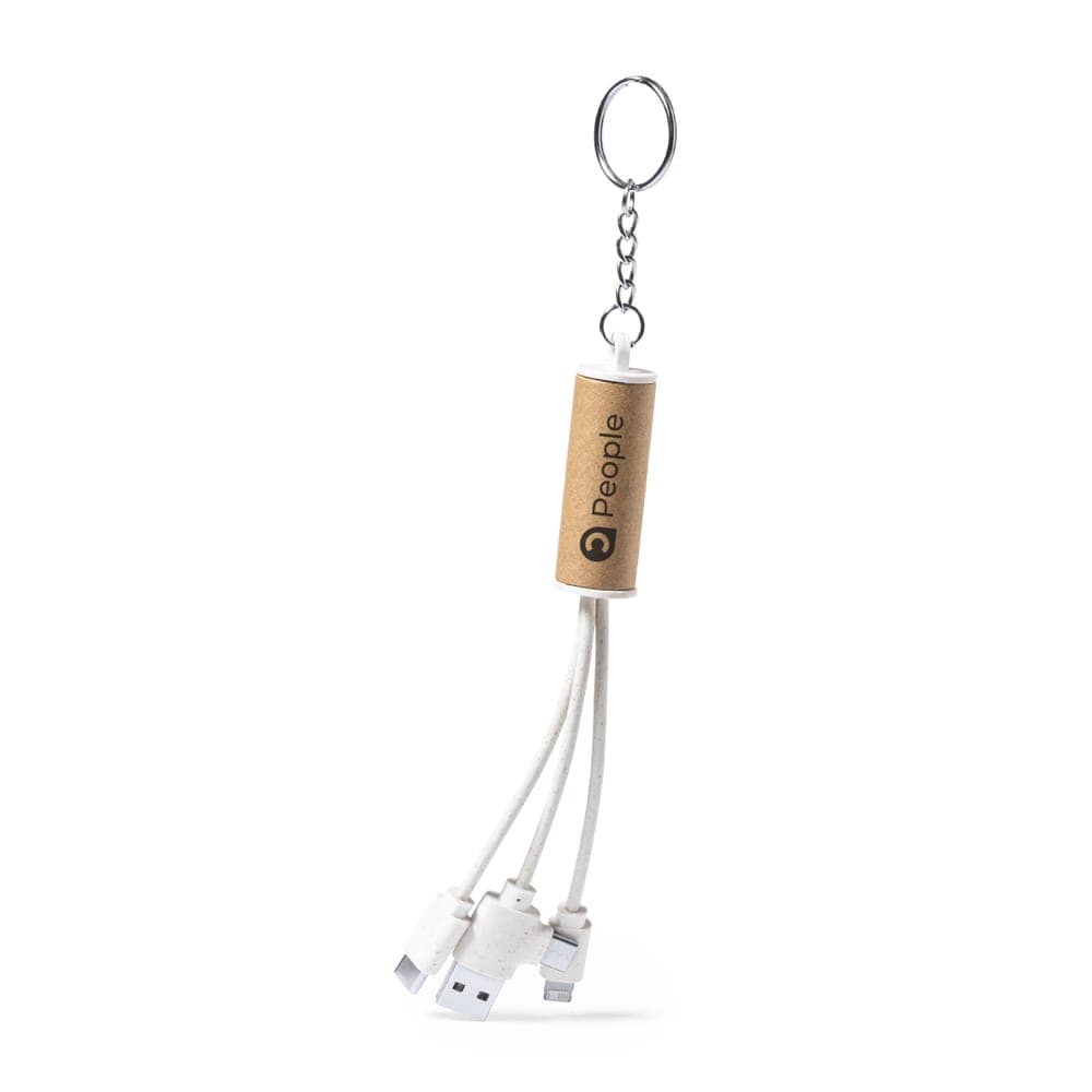 Câble de Charge