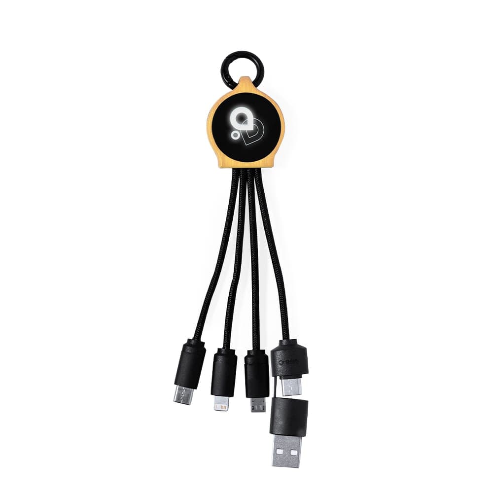 Câble de Charge